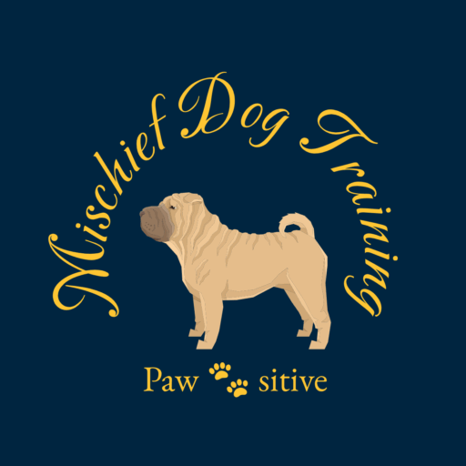 Mischief Dog Training